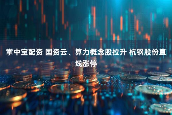 掌中宝配资 国资云、算力概念股拉升 杭钢股份直线涨停