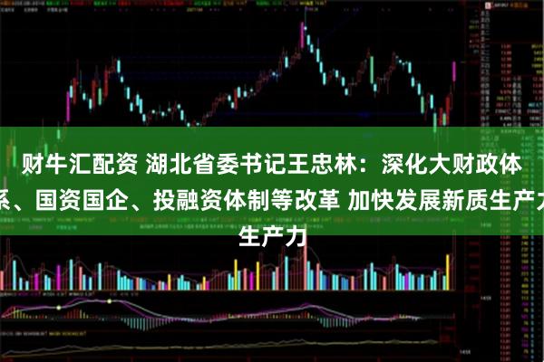 财牛汇配资 湖北省委书记王忠林：深化大财政体系、国资国企、投融资体制等改革 加快发展新质生产力