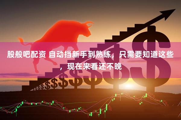 股般吧配资 自动挡新手到熟练，只需要知道这些，现在来看还不晚