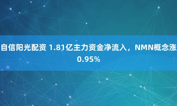 自信阳光配资 1.81亿主力资金净流入，NMN概念涨0.95%