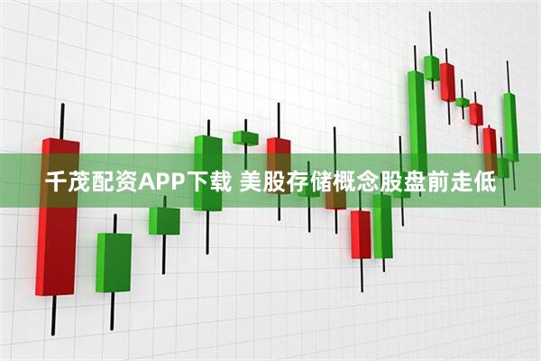 千茂配资APP下载 美股存储概念股盘前走低