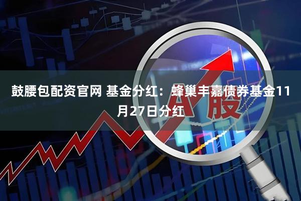 鼓腰包配资官网 基金分红：蜂巢丰嘉债券基金11月27日分红
