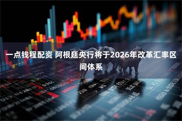 一点钱程配资 阿根廷央行将于2026年改革汇率区间体系